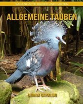 Allgemeine Tauben