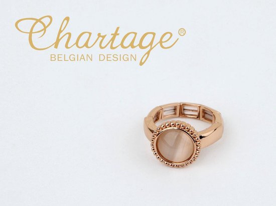 uitbreiden Gelach Amuseren Chartage elastische ring rosé goud | bol.com