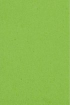 Lime Groen Tafelkleed Plastic 274x137cm