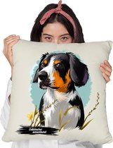 Entlebucher Sennenhond kussen