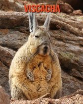 Viscacha