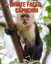 White Faced Capuchin