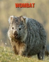 Wombat