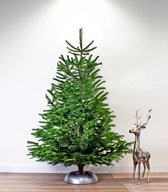 Echte Premium Nordmann Kerstboom op pot - circa 175 cm - Gratis thuis bezorgd - Echte kerstboom - Vers van eigen land - A-Kwaliteit. - Tijdelijke actie - Mooie kerstboom - Dikke Nordmann-Spar