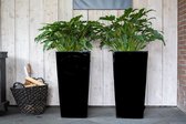 Plantenbak  Bonaire  Endersen H 75,3 cm Zwart