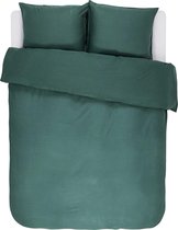 ESSENZA Minte Dekbedovertrekset Groen 2p set 200x220+2/60x70 cm