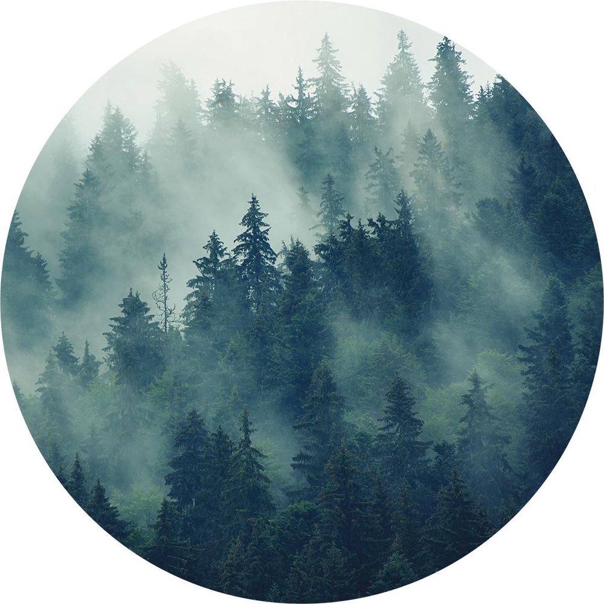 Staerkk - Bos in de mist - Ø125 cm - Muurcirkel van dibond incl. bevestiging