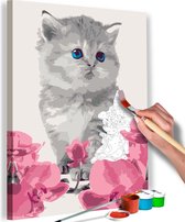 Doe-het-zelf op canvas schilderen - Kitten 40x60 ,  Europese kwaliteit, cadeau idee
