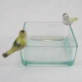 Vogelschaal/kaarshouder glas, 12 x 12 x 6 cm