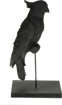 Kaketoe op standaard zwart 32 cm hoog - Dijk Natural Collections