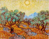 Vincent van Gogh, Olijfbomen met gele lucht en zon, 1888 op aluminium, 40 X 60 CM