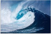 Schilderij - Prachtige Surf golf, blauw, 1 deel