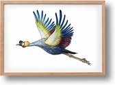 World of Mies poster kraanvogel - A4 - mooi dik papier - Snel verzonden! - vogels - dieren in aquarel - geschilderd door Mies