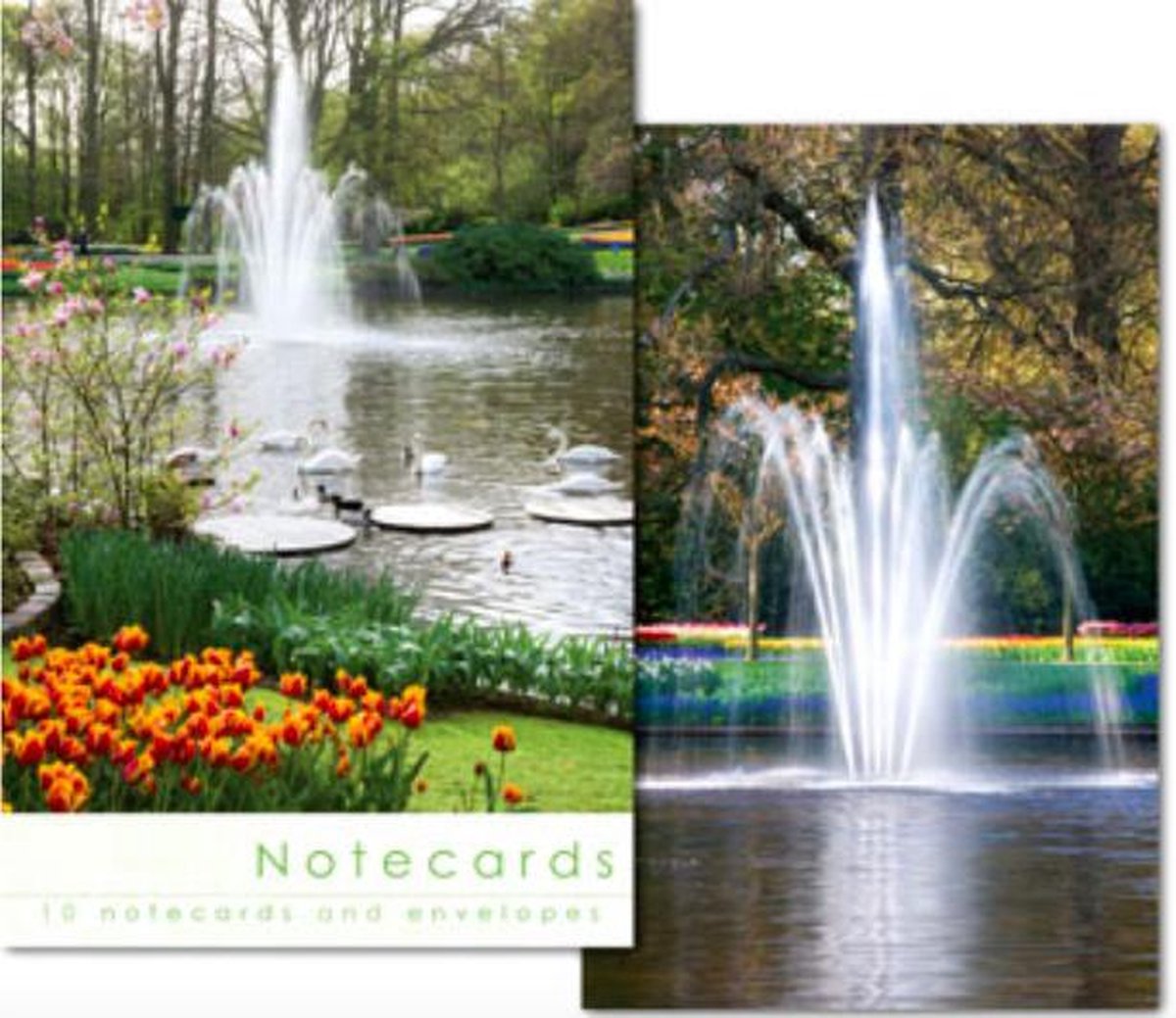 Leonard Smith Notecards ~ Kaartenmapje Tulpen met Fontein