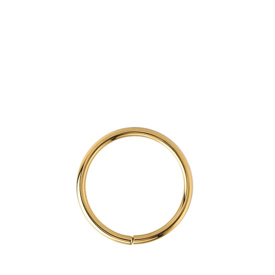 Lucardi Dames helixpiercing goldplated ring - Piercing - Cadeau - Moederdag - Staal - Goudkleurig