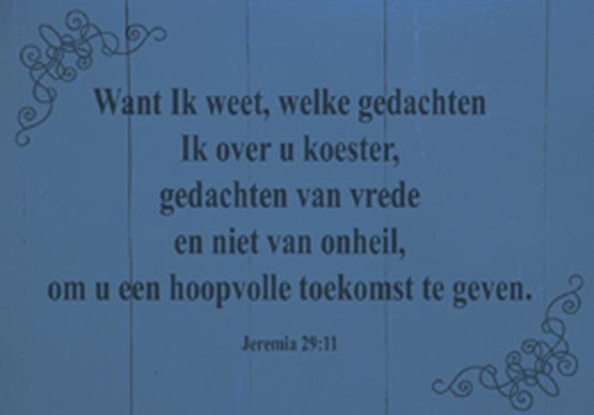 Ansichtkaart 10x15 cm - Jeremia 29:11 - set van 25