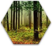 Schilderij foto natuur en bos - herfstbos - Dibond - Aluminium zeshoek schilderij  - 50 x 50 cm