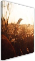 Schilderij Granen in de zon, 2 maten, bruin/geel, Premium print