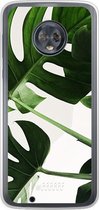 Motorola Moto G6 Hoesje Transparant TPU Case - Tropical Plants #ffffff