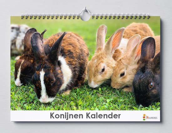 Konijnen Verjaardagskalender 35x24cm | Kalender