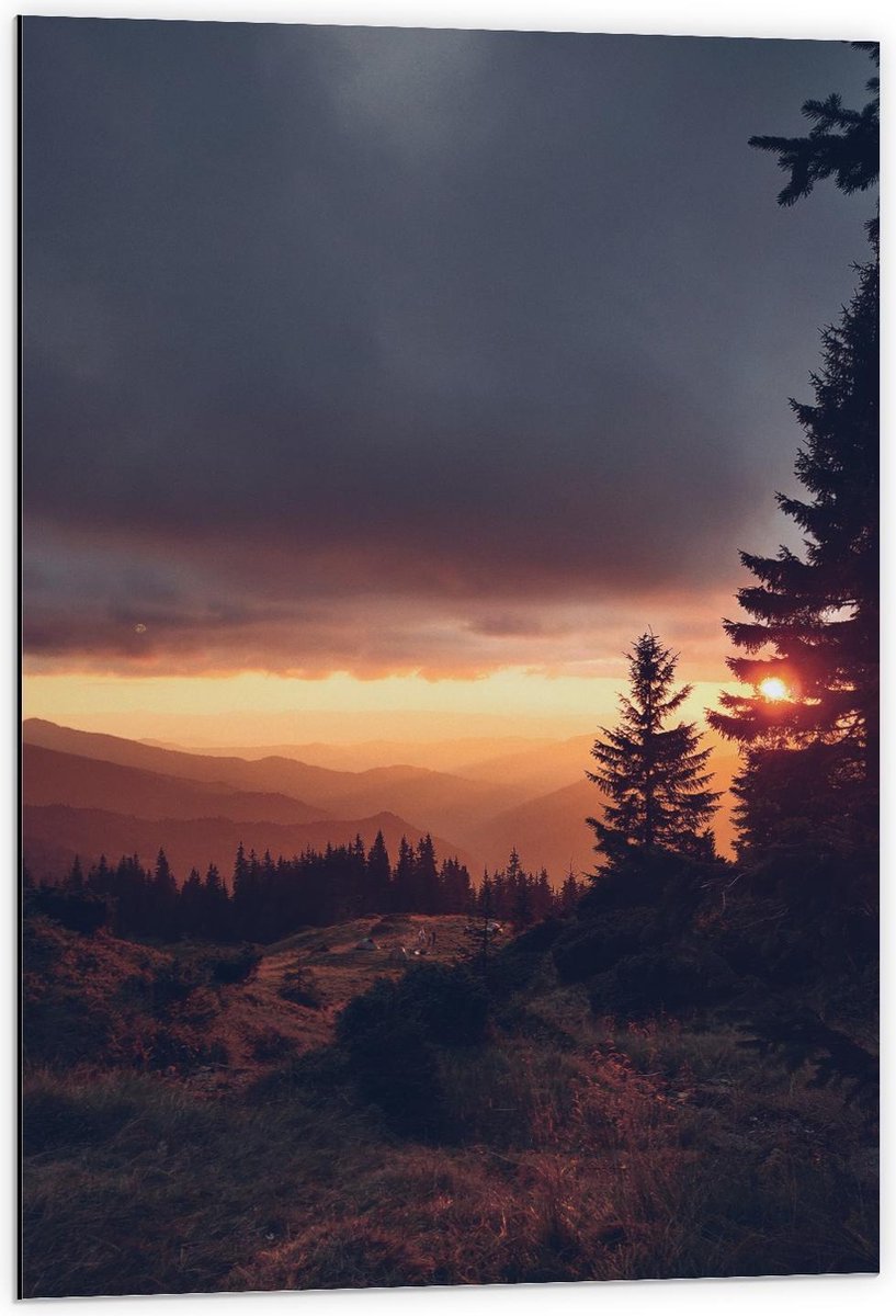 Dibond - Zon bij Bergen en Bomen - 60x90cm Foto op Aluminium (Met Ophangsysteem) op Prijzenvolger.com