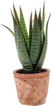 Aloe Vera kunstplant in terracotta pot 23 cm - Aloe Barbadensis - Woondecoratie/accessoires - Kunstplanten - Nepplanten - Aloe vera planten in pot