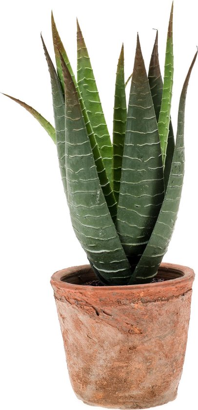 Plante artificielle d'Aloe Vera en pot en terre cuite 23 cm - Aloe  Barbadensis -... | bol.com