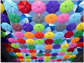 Poster – Kleurrijke Zwevende Paraplu's  - 40x30cm Foto op Posterpapier