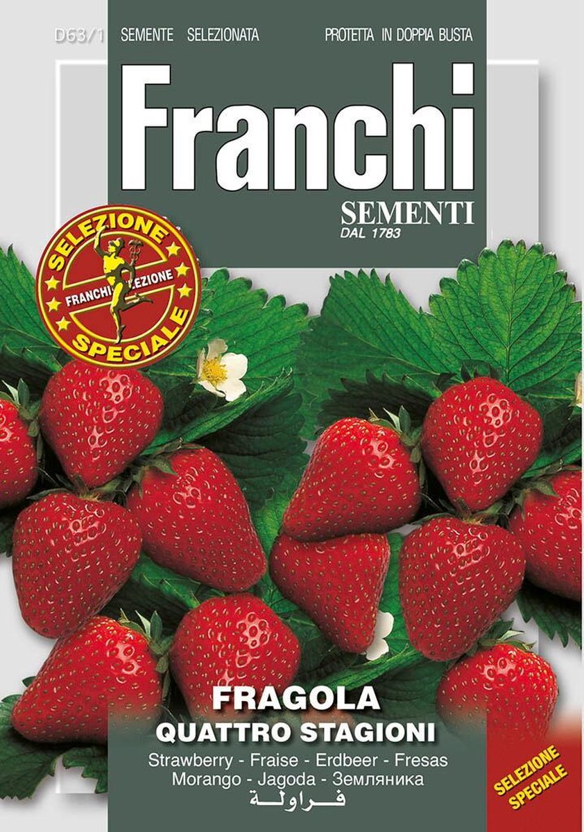 Franchi - Aardbei Franchi - agola Quatro stagioni 63/1