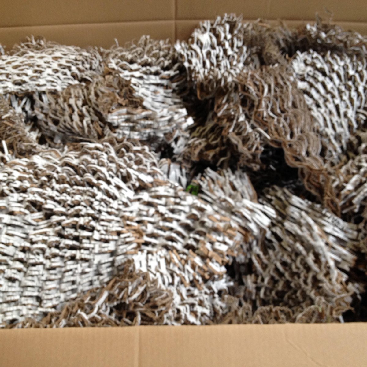 Ecosoul – Platos De Papel 100 Compostables De 6 Pulgadas Paquete De 1000 Desechables Para Fiestas Platos De Desierto Ecologicos Desechables