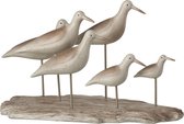 J-Line Vogels 6 Op Plank Polyresine Bruin/Greige L 29 x B 28,5 x H 28 cm