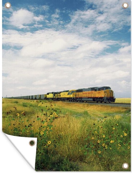 Train de marchandises à travers le champ dans le Dakota du Nord affiche de jardin toile en vrac 60x80 cm - toile de jardin / toile d'extérieur / Peintures pour l'extérieur (décoration de jardin)