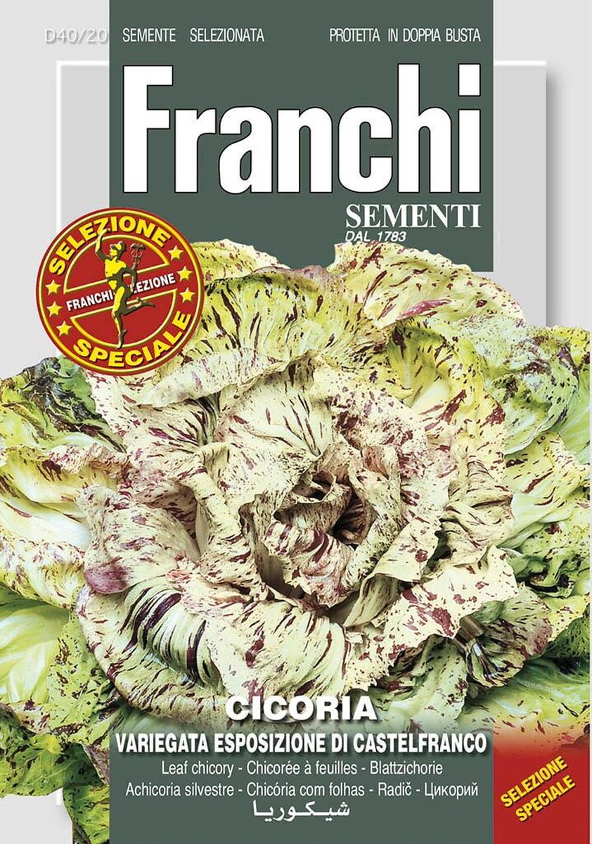 Franchi - Cichorei, Cicoria var esp Castelfranco 40/20
