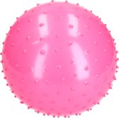 Banzaa Educatieve Stekelige Bal voor Baby en Kinderen 28 cm Roze