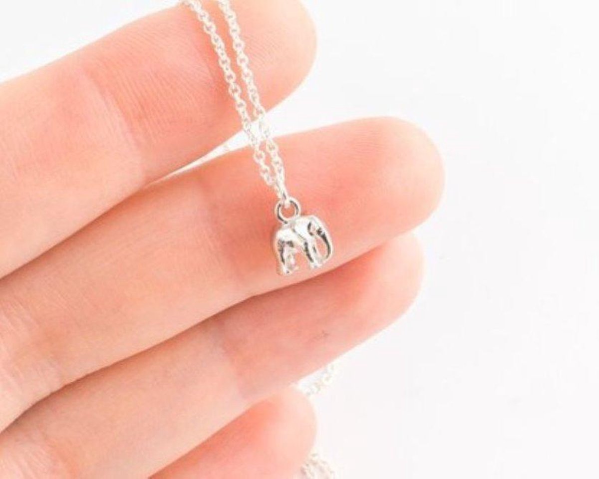 Ketting met hanger olifant zilverkleur - Van Santen Fashion Charm Jewelry