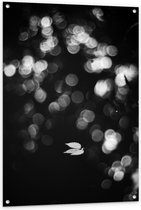 Tuinposter – Lampjes (zwart/wit) - 80x120cm Foto op Tuinposter  (wanddecoratie voor buiten en binnen)