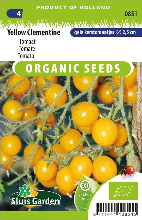 Sluis Garden Yellow Clementine tomaat – zoete gele kerstomaatjes