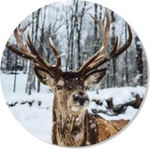 Muurcirkel Wandcirkel Hert|⌀50cm|Forex|(binnen)|Deer Snow|