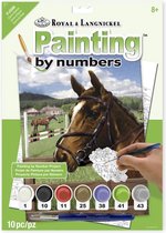 Schilderen op nummer - Paint by numbers -  Paard met hoofdstel 22x30cm - Schilderen op nummer volwassenen - Paint by numbers volwassenen
