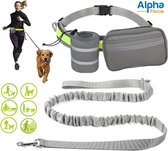 Laisse pour chien mains libres - Ceinture de course réfléchissante - Laisse élastique avec sac de taille et porte-bouteille pour grands Chiens - Laisse adaptée à la formation de chien - Gris - 150cm à 210cm