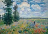 Claude Monet - Les Coquelicots Kunstdruk 29,7x21cm