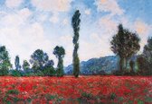 Claude Monet - Campo di papaveri Kunstdruk 100x70cm