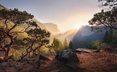 Fotobehang - Yosemites Secret 450x280cm - Vliesbehang