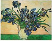 Vincent Van Gogh - Iris Strauss, 1890 Kunstdruk 50x40cm