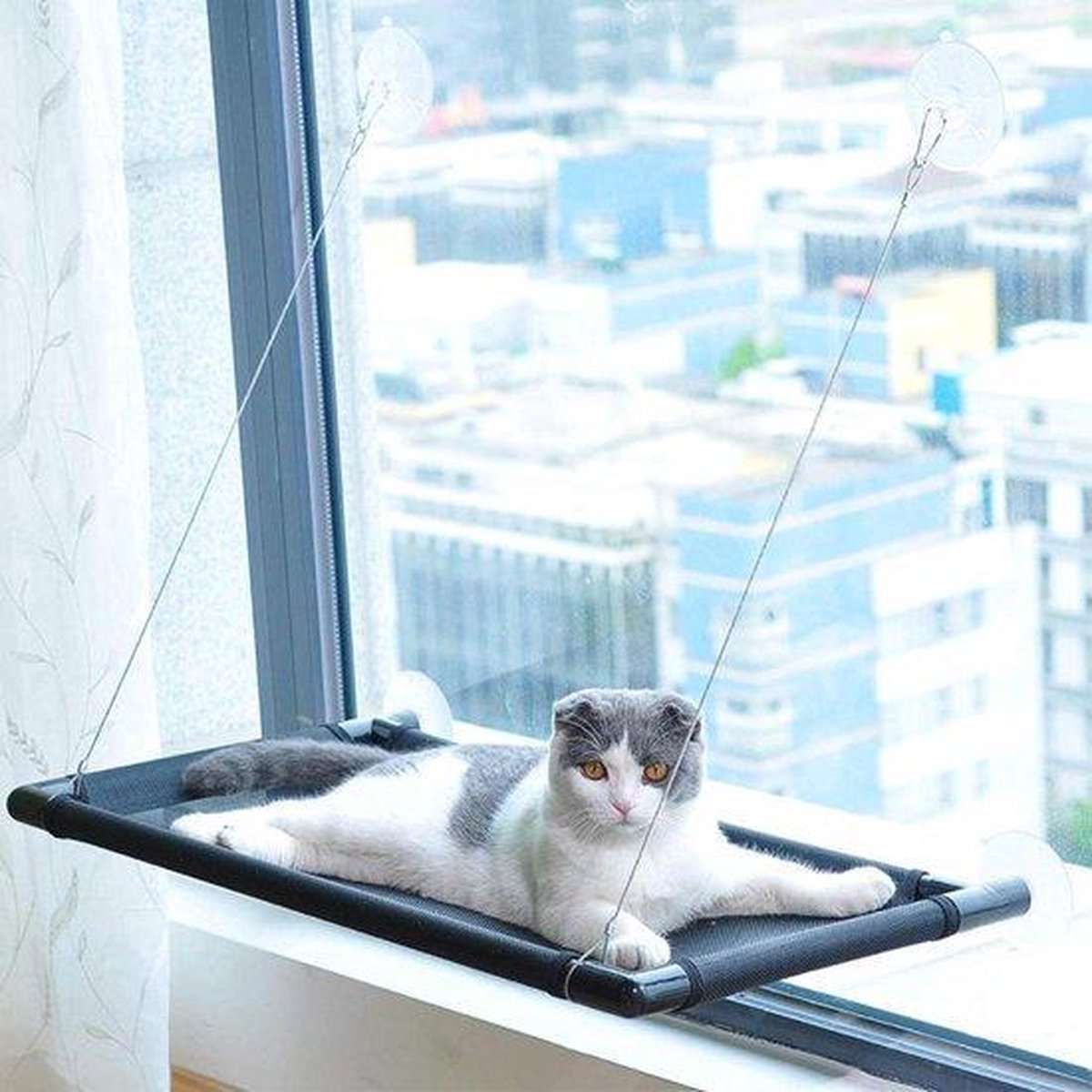 Kattenhangmat - Katten hangmat - Mand voor raam - Kattenhangmat raam - hangmat... | bol.com