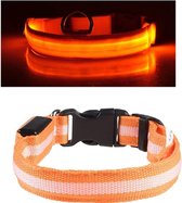 IGOODS Oranje LED hondenhalsband - Verlichte halsband voor honden -  LED Hondenriem - halsband LED