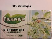 Thé Pickwick - Sterrenmunt - conditionnement multiple 10x 20 sachets