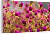 Schilderij - Close-up shot of the beautiful flowers — 90x60 cm