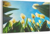Schilderij - Gele tulpen en blauwe hemel — 90x60 cm