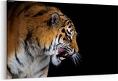 Schilderij - Beautiful tiger — 90x60 cm
